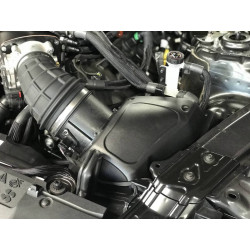 Ford Mustang GT 3.0L Stage 1 Whipple 2018-2021